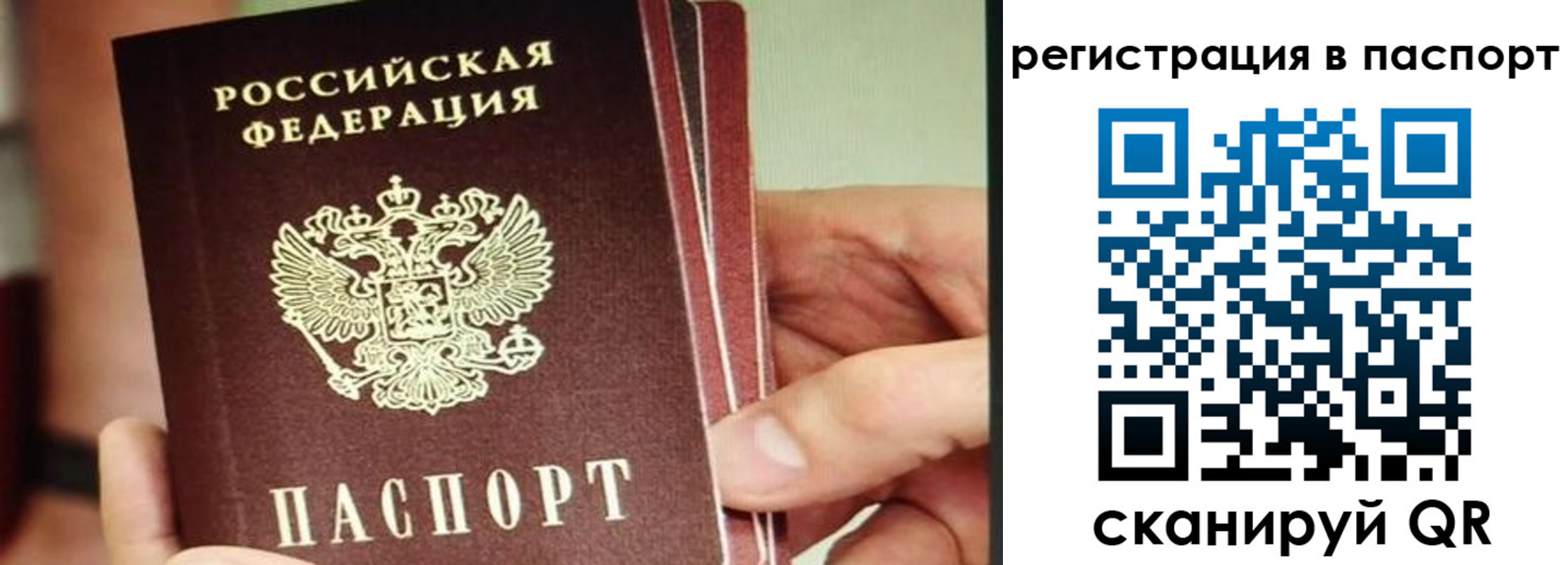 временная регистрация надежно в Алексине